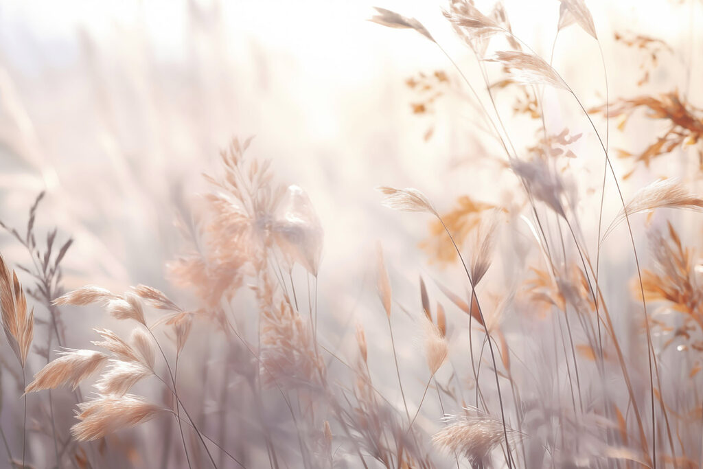 Sanftes Flüstern der Schönheit der Natur’ Sanftes Flüstern der Schönheit der Natur’