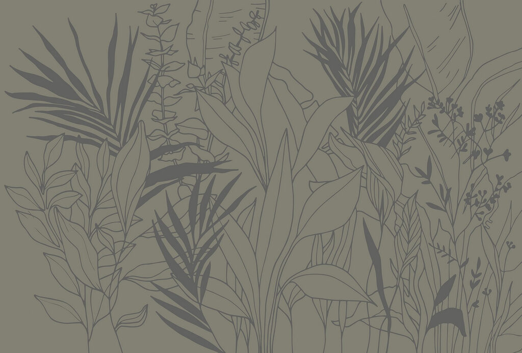 Drawing of plants and leaves