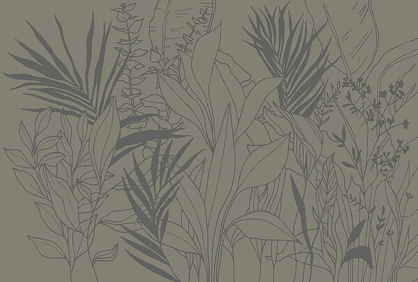 Drawing of plants and leaves