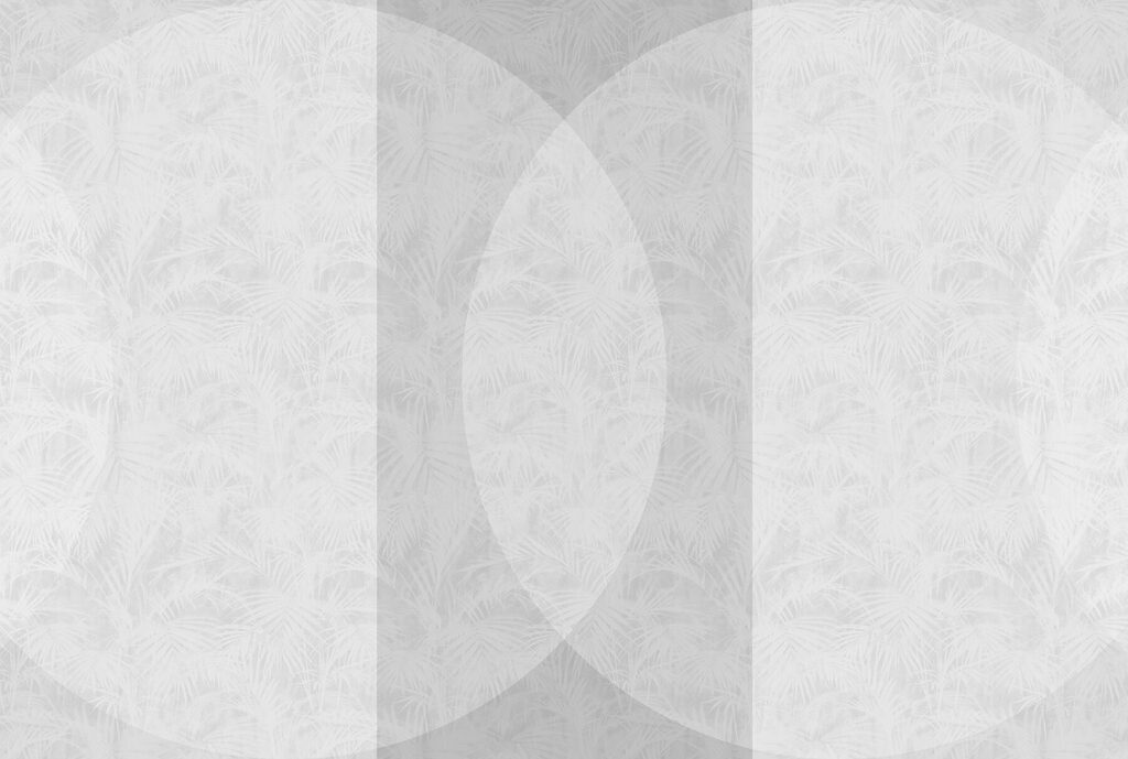 Weißer und grauer Hintergrund Weißer und grauer Hintergrund