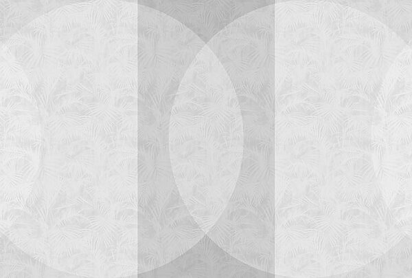 Weißer und grauer Hintergrund Weißer und grauer Hintergrund