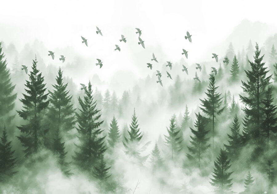 Vögel fliegen über einen Wald