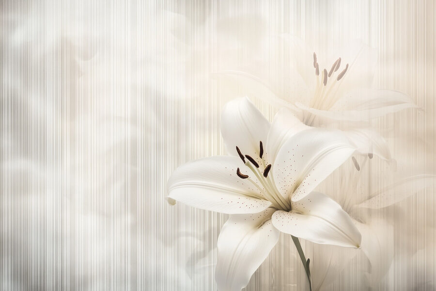 Elegante weiße Lilien in zarten Farbtönen