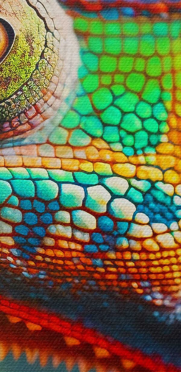 Colorful lizard on a leaf