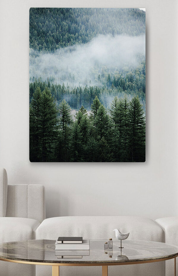 Wald mit Nebel und Wolken Wald mit Nebel und Wolken