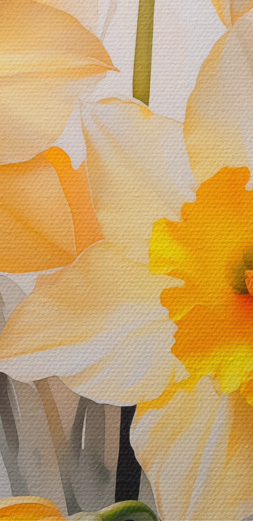 Gruppe von gelben und weißen Blumen