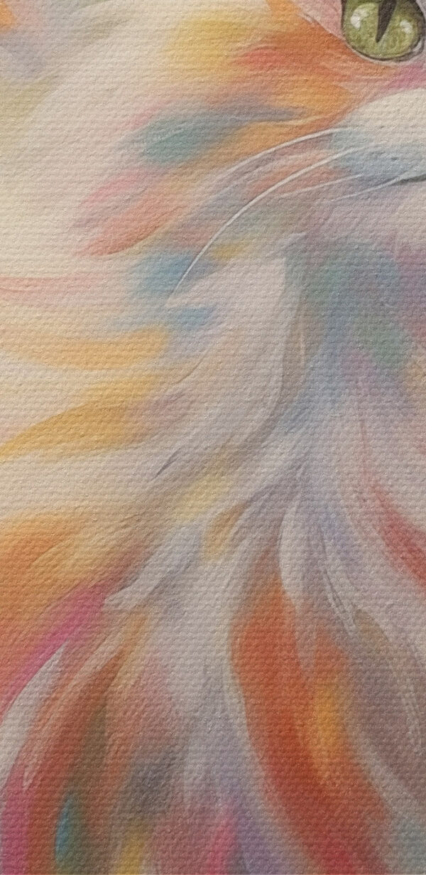 Katze mit langen Haaren Katze mit langen Haaren
