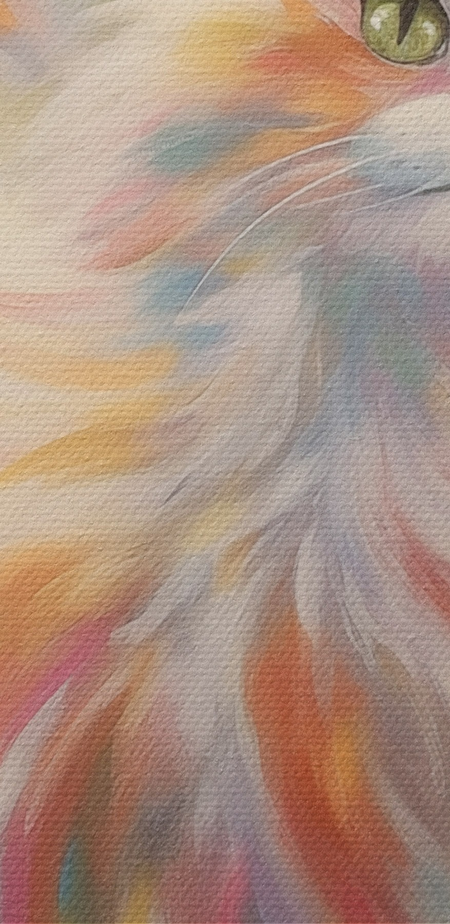 Katze mit langen Haaren Katze mit langen Haaren