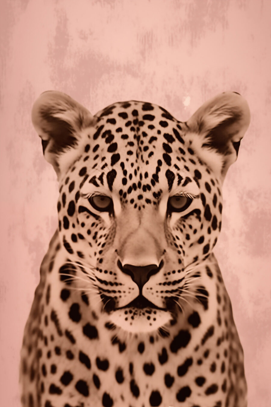 Majestätischer Leopard in sanften Tönen.