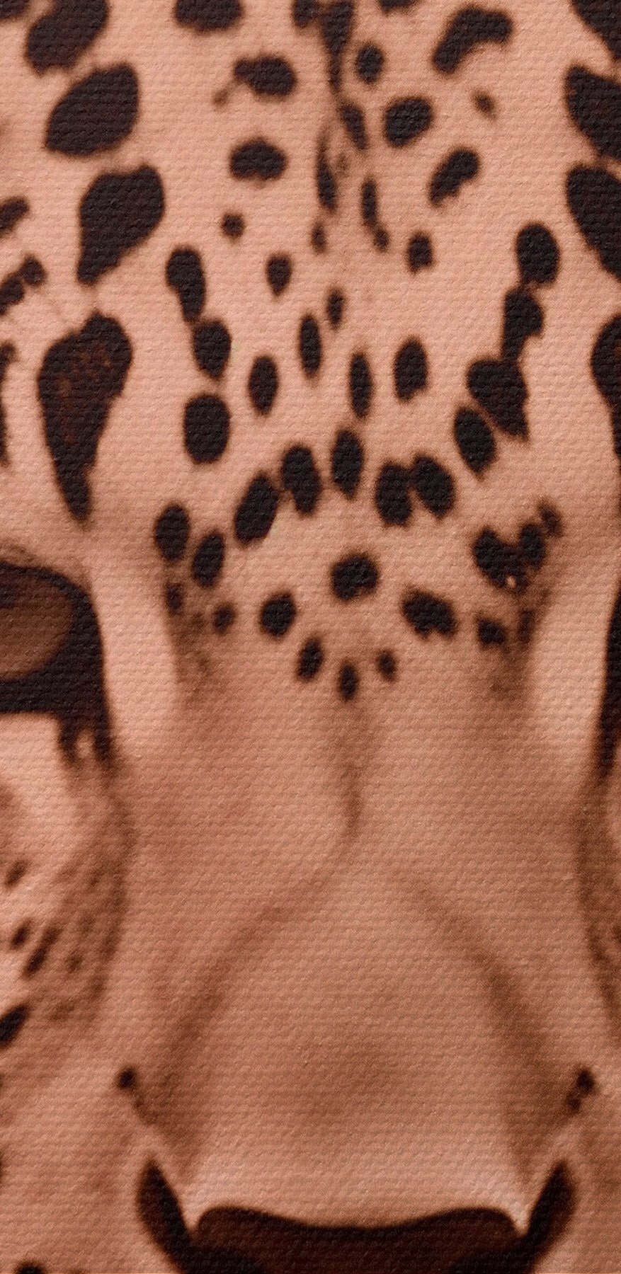 Majestätischer Leopard in sanften Tönen.