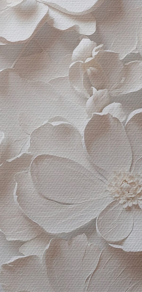 Weiße Blume auf weißer Fläche Weiße Blume auf weißer Fläche
