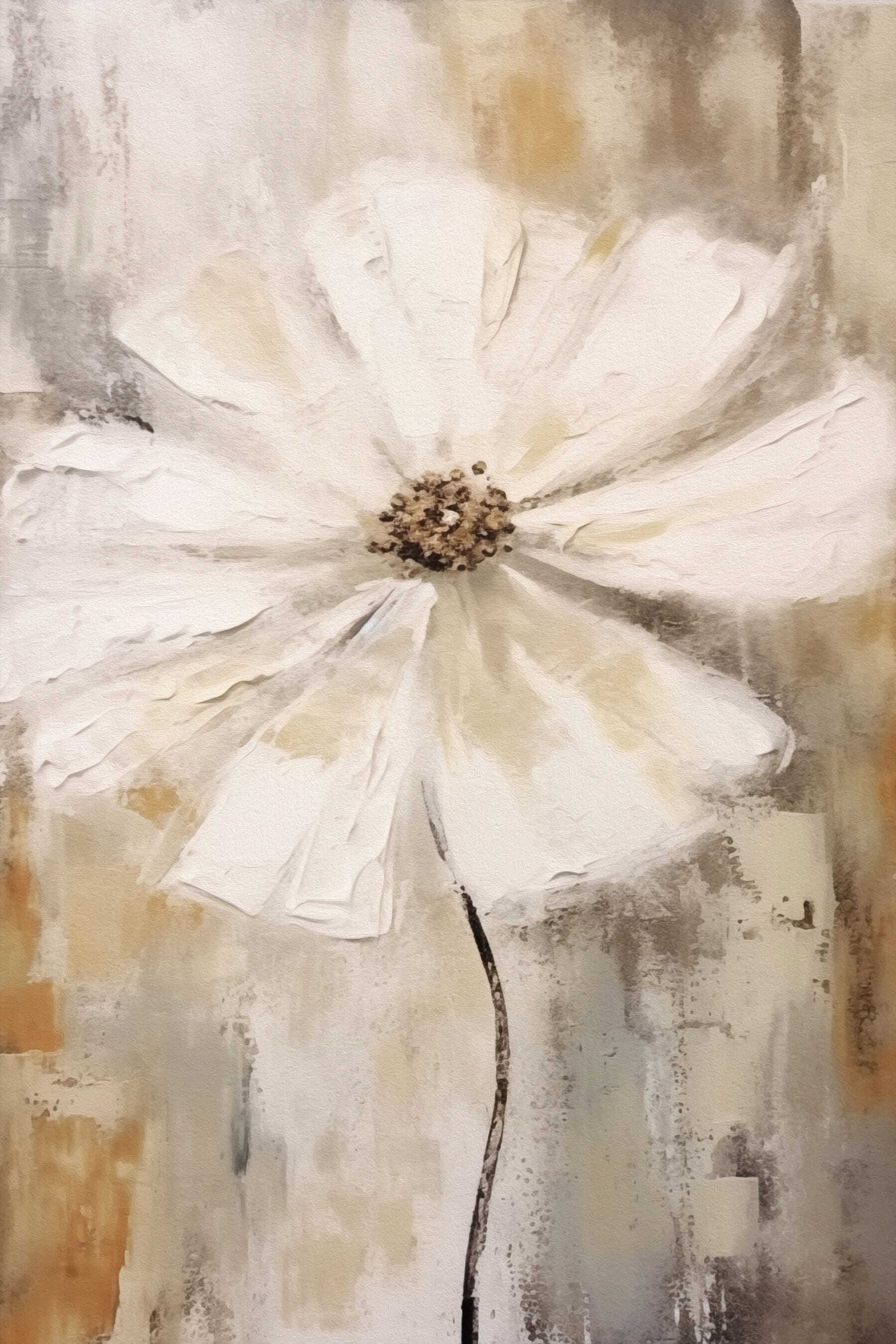 White flower with brown center White flower with brown center