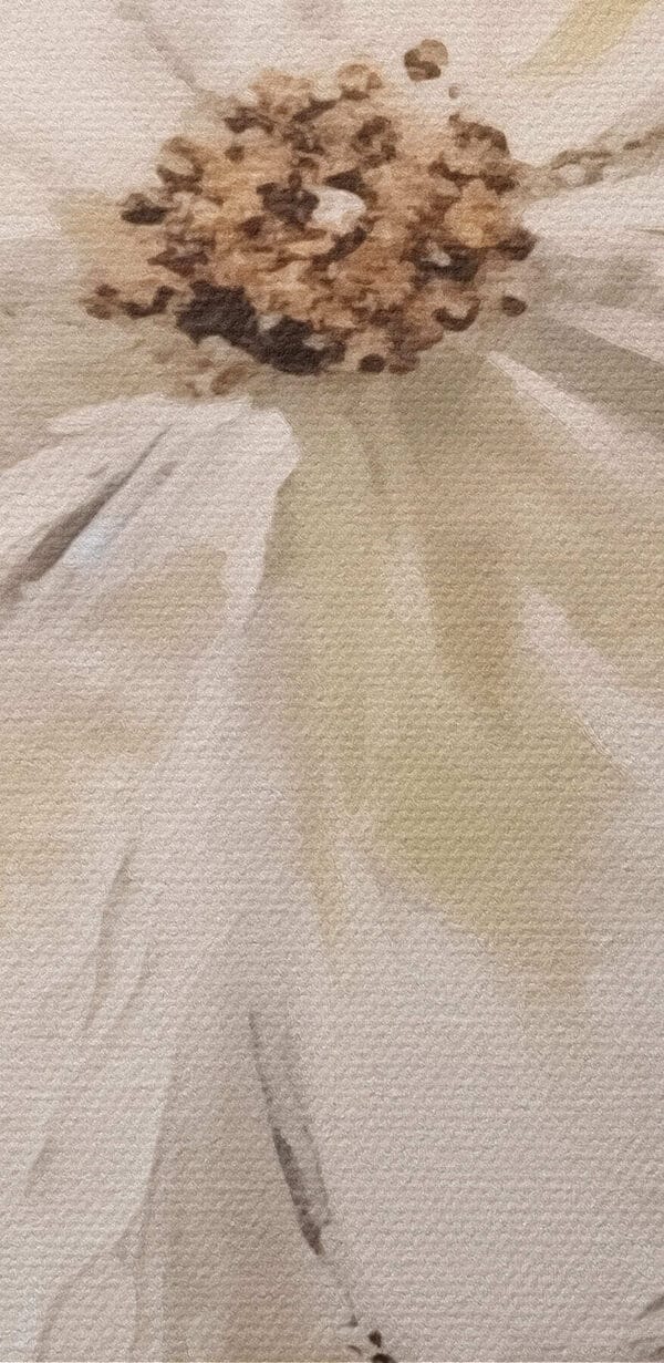 White flower with brown center