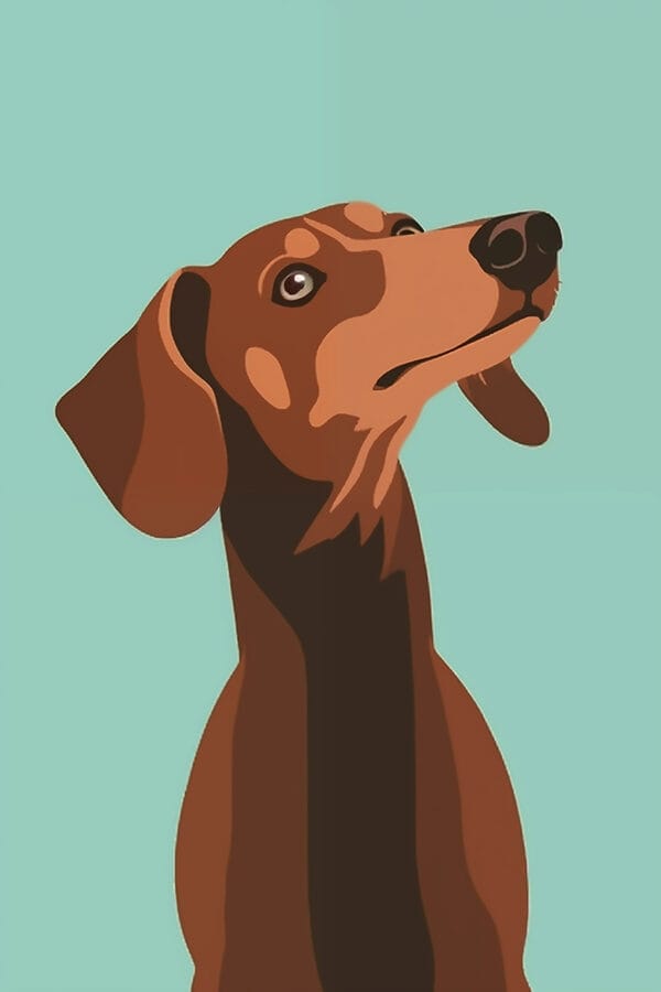 Hund mit erhobenem Kopf Hund mit erhobenem Kopf