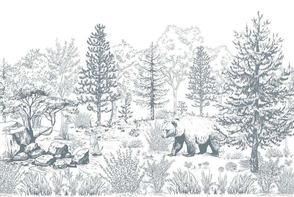 Bär im Wald Bär im Wald