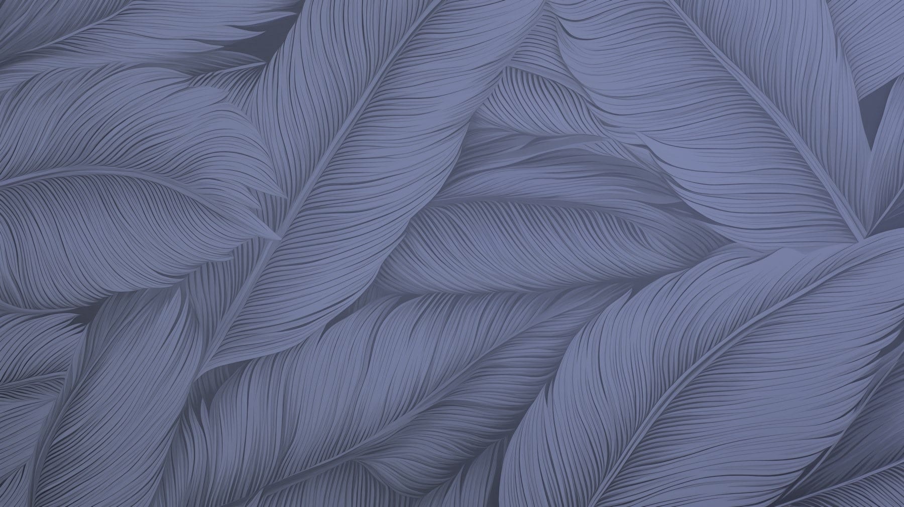Elegant patterns of soft leaves Elegant patterns of soft leaves