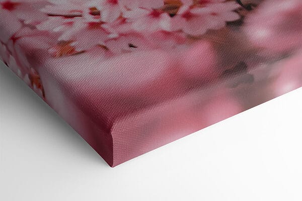 Eine Eule in einem Baum mit rosa Blumen Eine Eule in einem Baum mit rosa Blumen