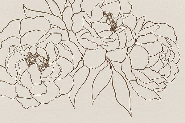 Zeichnung von Blumen auf einer weißen Fläche Zeichnung von Blumen auf einer weißen Fläche