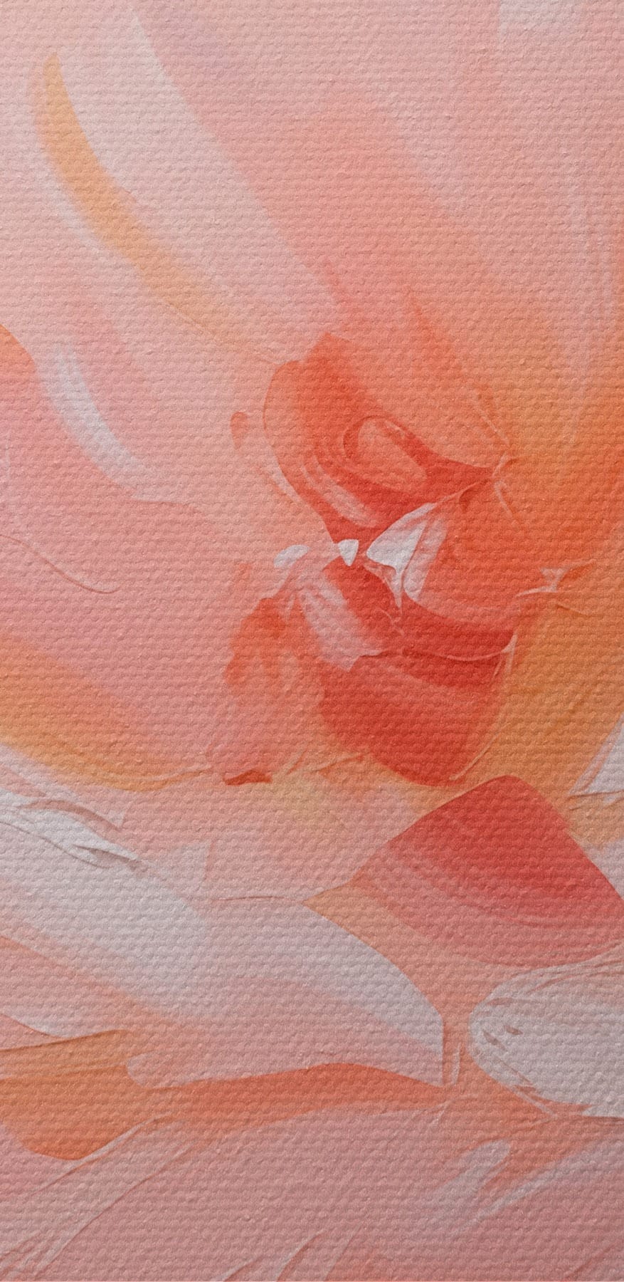 Zartrosa Blüten in voller Blüte