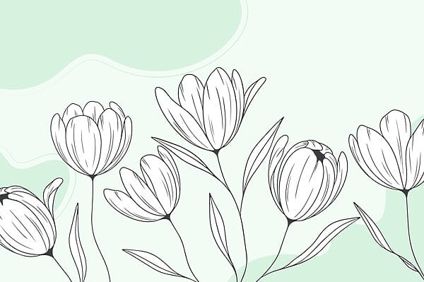 Strichzeichnung von Blumen Strichzeichnung von Blumen