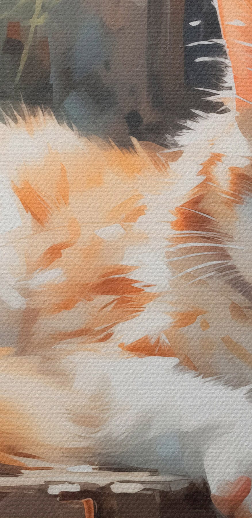 Katze auf einem Sims liegend
