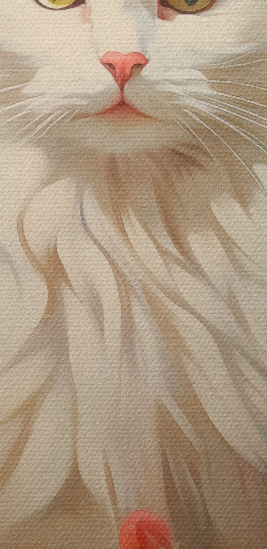 Weiße Katze in einem Blumengarten Weiße Katze in einem Blumengarten