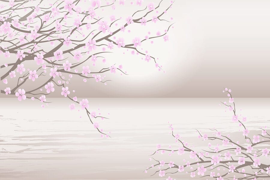 Baum mit rosa Blüten