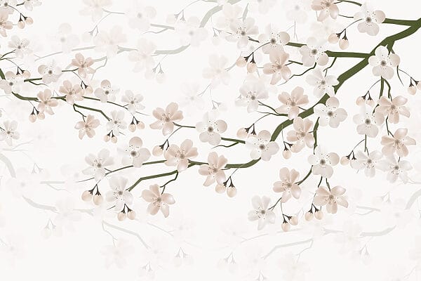 Weiße Blüten auf einem Zweig Weiße Blüten auf einem Zweig