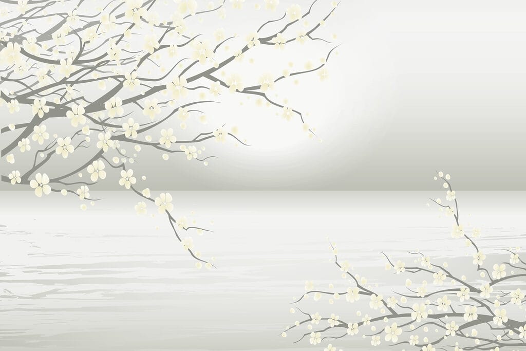 Baum mit weißen Blüten Baum mit weißen Blüten