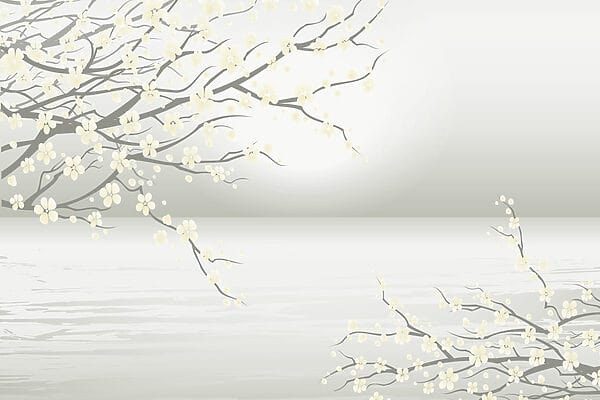 Baum mit weißen Blüten Baum mit weißen Blüten
