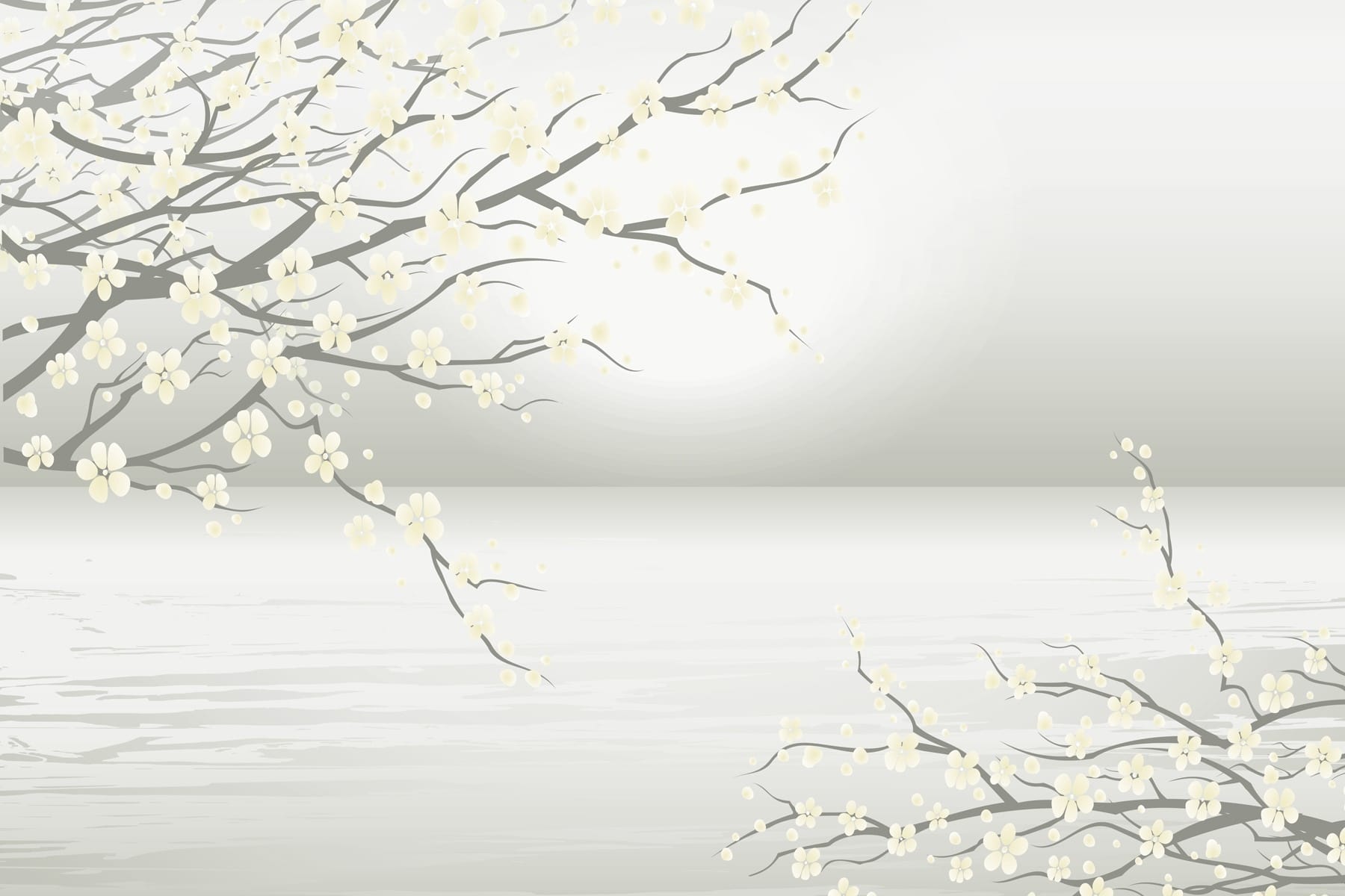 Tree with white flowers Tree with white flowers