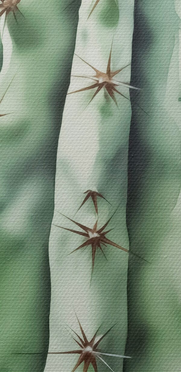 Cactus with thorns on it Cactus with thorns on it
