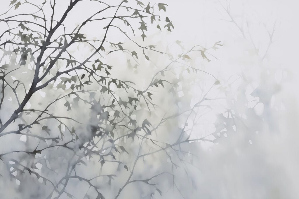 Baum mit Blättern im Nebel Baum mit Blättern im Nebel