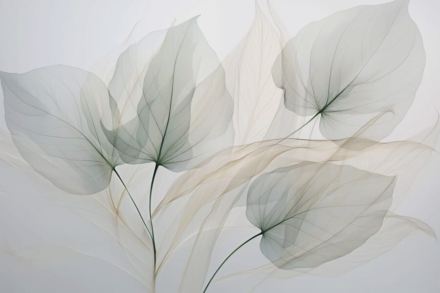Wall murals Transparent leaves on a white background