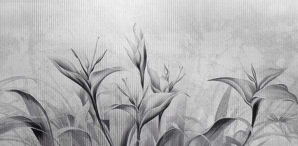 Schwarzes und weißes Bild von Blumen Schwarzes und weißes Bild von Blumen