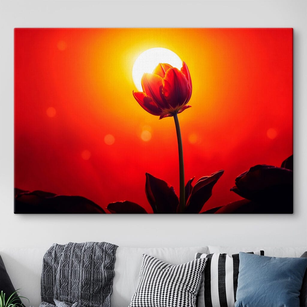 Red tulip with the sun behind it