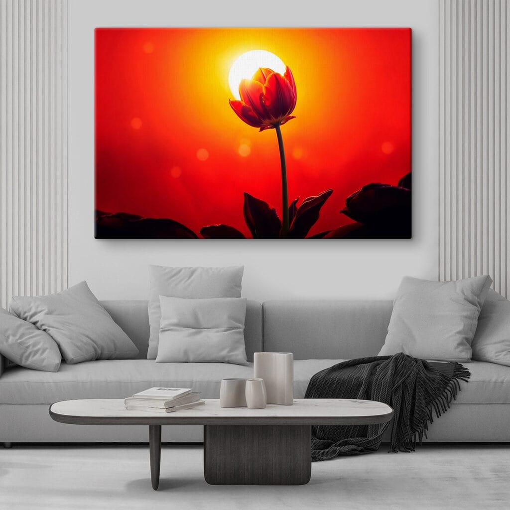 Red tulip with the sun behind it
