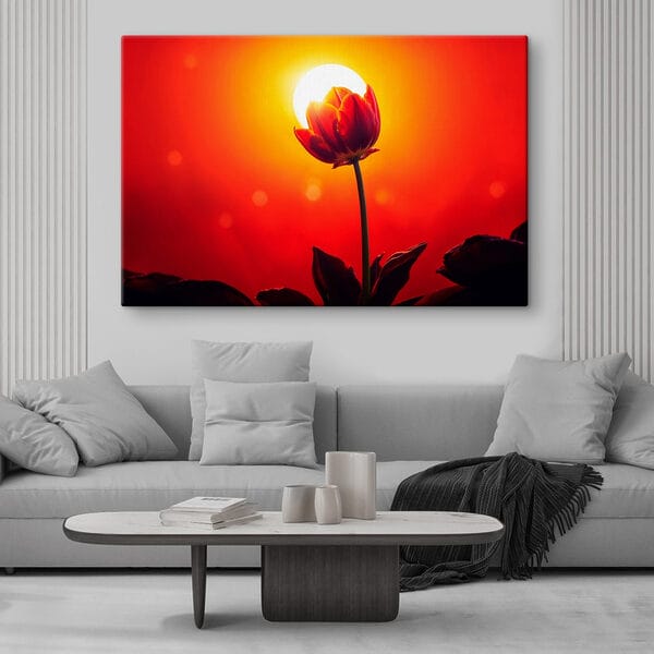 Rote Tulpe mit der Sonne im Rücken Rote Tulpe mit der Sonne im Rücken