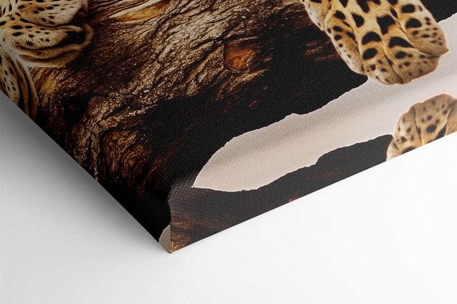 Leopard auf einem Baumast liegend