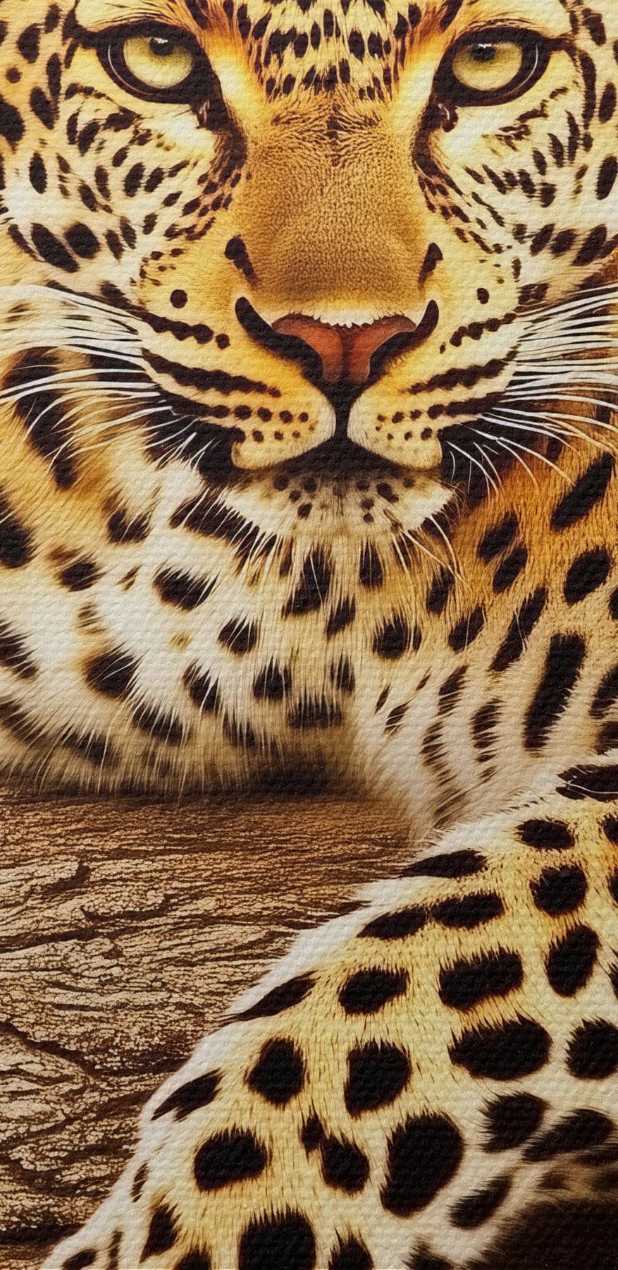 Leopard auf einem Baumast liegend