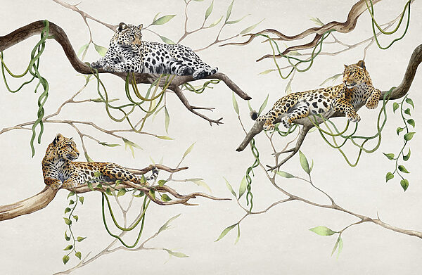 Gruppe von Leoparden auf Ästen liegend Gruppe von Leoparden auf Ästen liegend