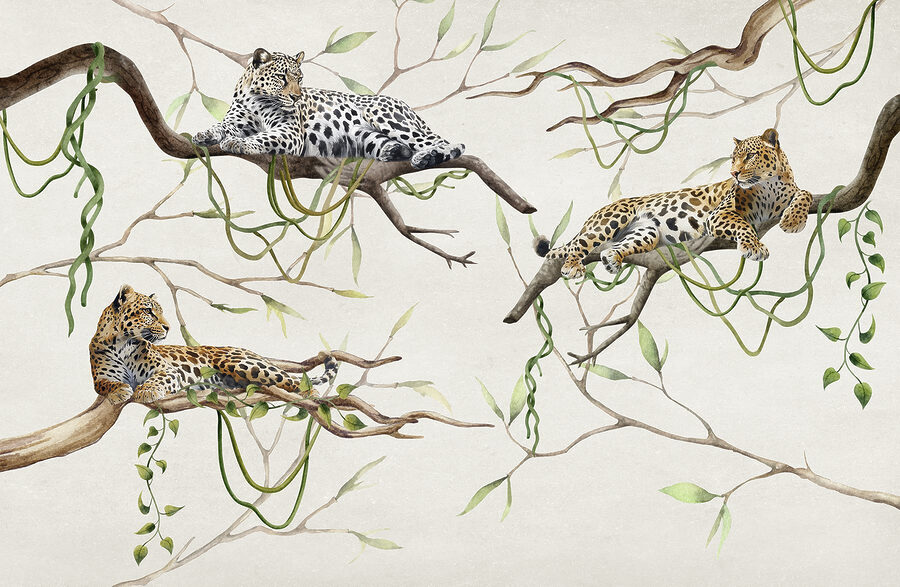 Gruppe von Leoparden auf Ästen liegend