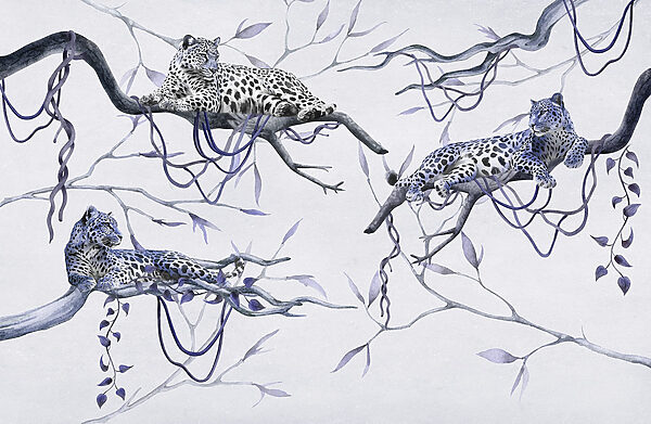 Gruppe von Leoparden auf Ästen liegend Gruppe von Leoparden auf Ästen liegend