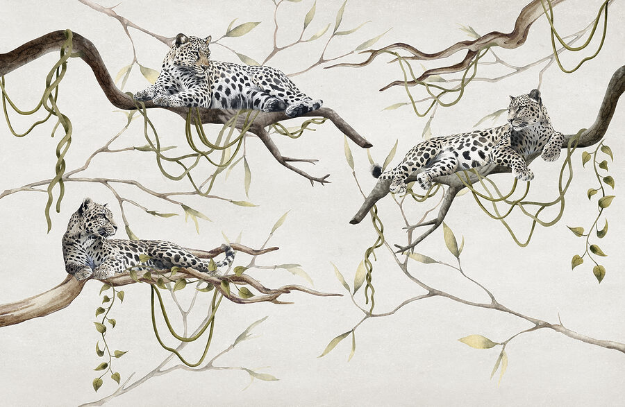 Gruppe von Leoparden auf Ästen liegend