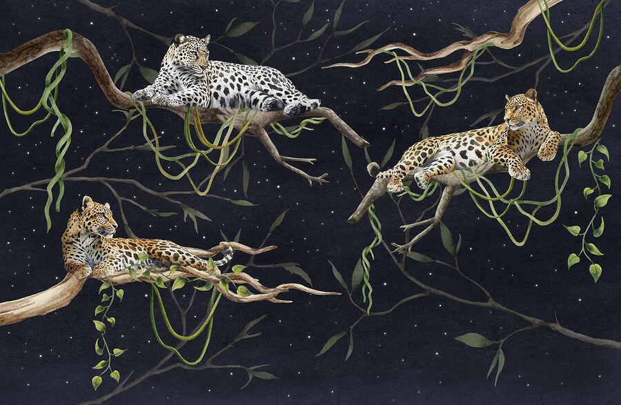 Gruppe von Leoparden auf Ästen liegend