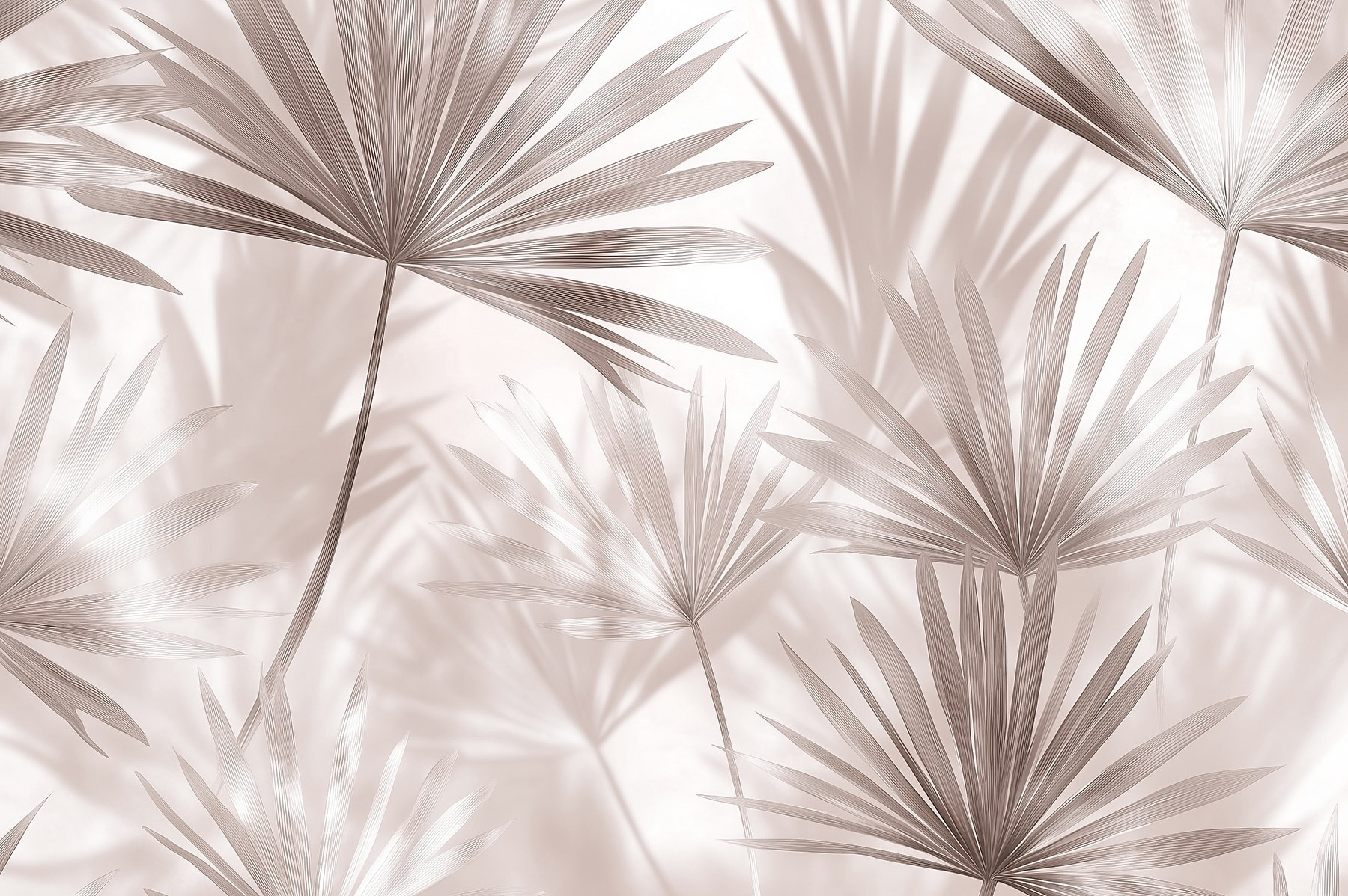 Nature's subtle elegance on display Nature's subtle elegance on display