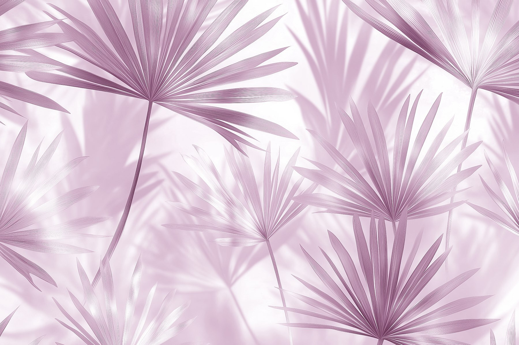 Soft pastel leaves creating gentle shadows Soft pastel leaves creating gentle shadows