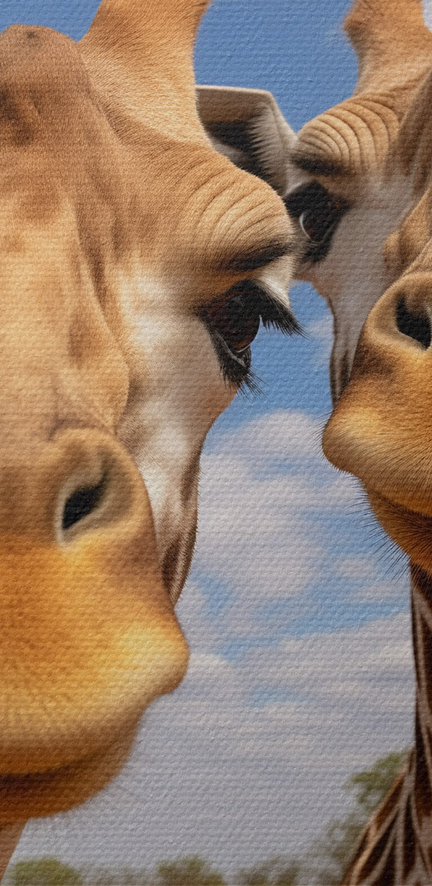 Zwei Giraffen stehen auf einem Feld