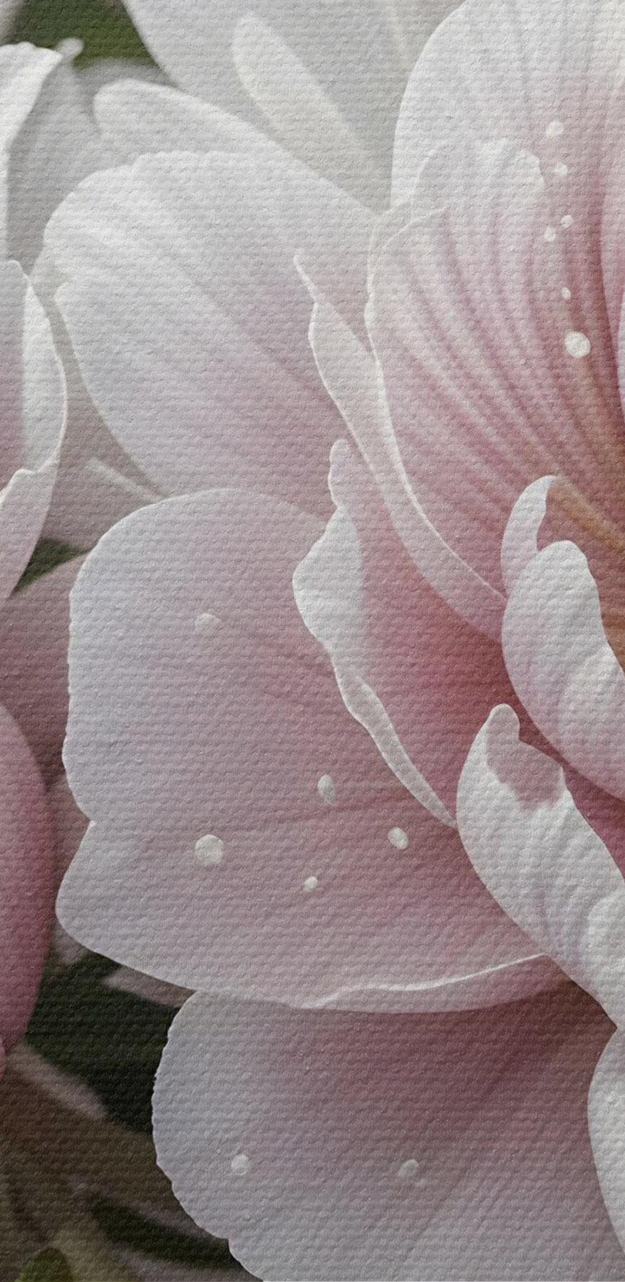 Gruppe von rosa Blumen
