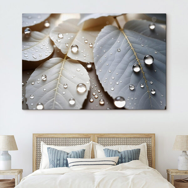 Nature's delicate droplets on leaves